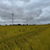 Windkraftanlage 15625