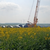 Zur Bildvergrößerung anklicken Windkraftanlage 16691
